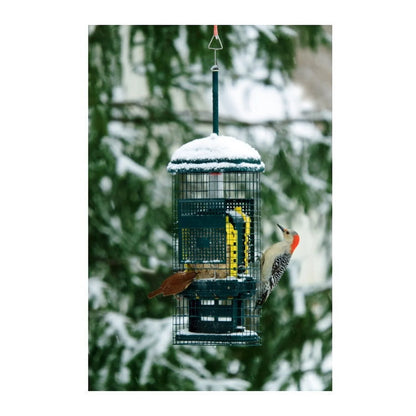 Brome Squirrel Buster Suet Feeder