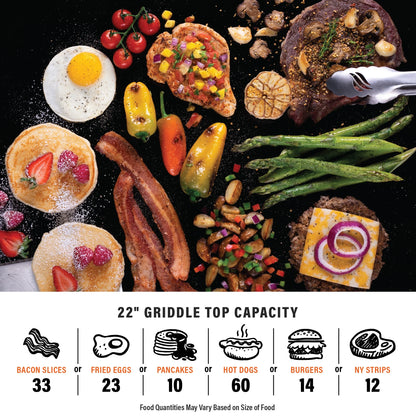 Blackstone Original 22" Omnivore Griddle with Stainless Steel Front Panel