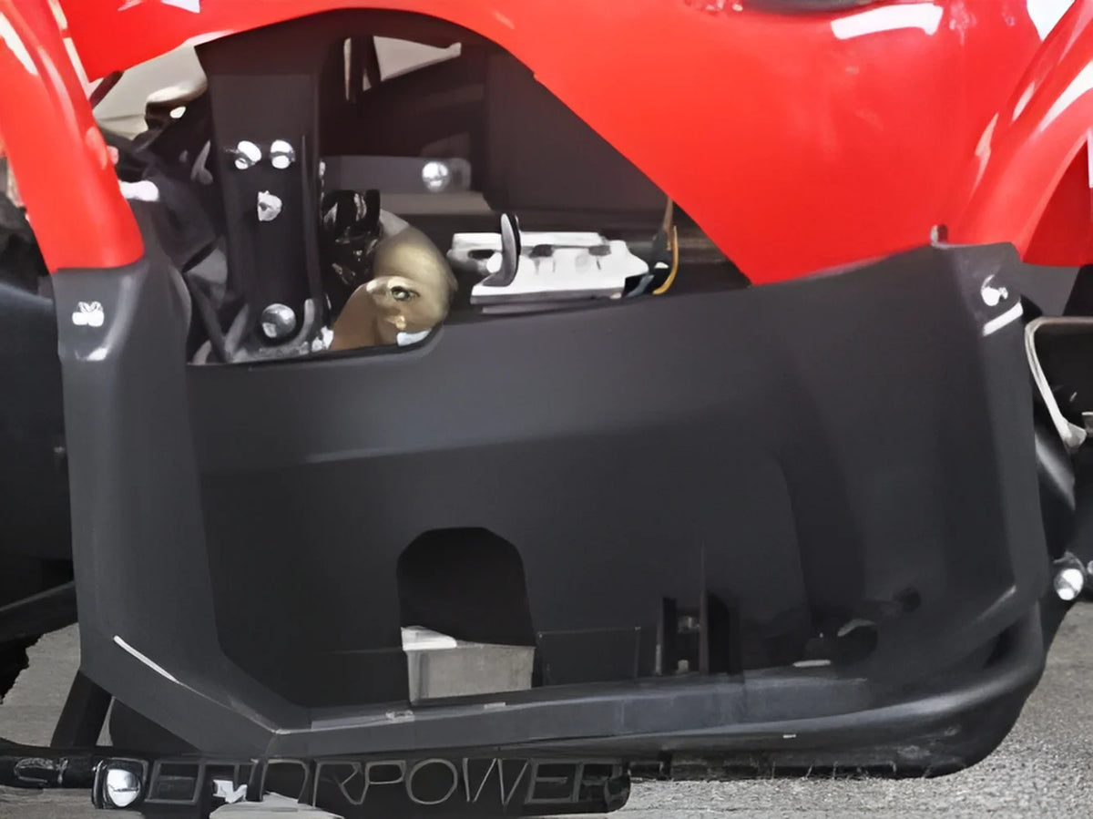 Tao Tao Bull 150 4-Wheeler 150cc ATV with Automatic Transmission and Reverse