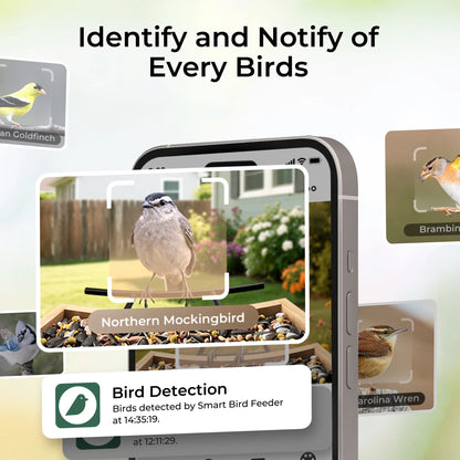 TT Nature Bird Feeder with Camera, AI Identify 10,000+ Species, Auto Capture, Real-Time Notifications, Upgraded for Bird Watching with Solar Panel, Perfect Gift for Bird Lovers