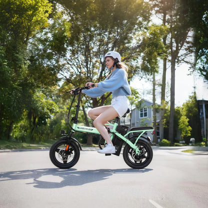 Alpha Joy Electric Bike for Adults 20", Rated 500W E-Bike 48V 13AH UL2849