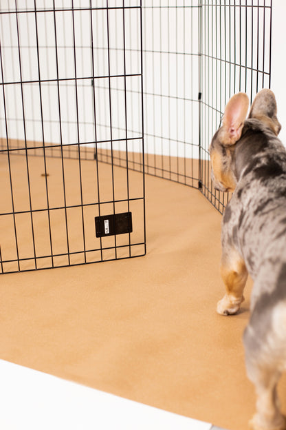 G-Floor 7.5' x 17' Vinyl Levant Pet Friendly Carpet Protector for Dogs & Cats - Midnight Black