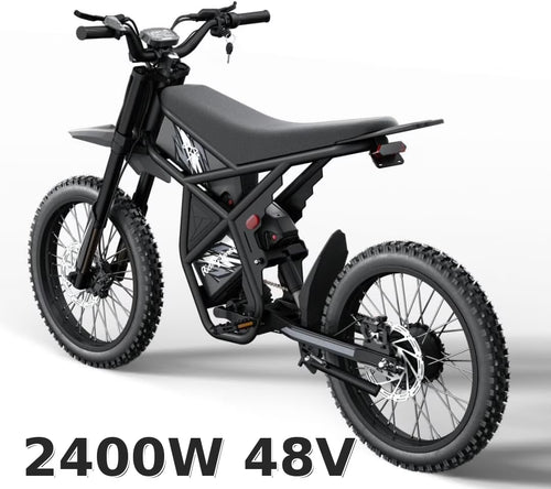 Ridingtimes GT73 Electric Motorbike  2400W 48V 18.2AH*2 Electric BIKE with 25" tires digital screen Carbon Steel,BLACK