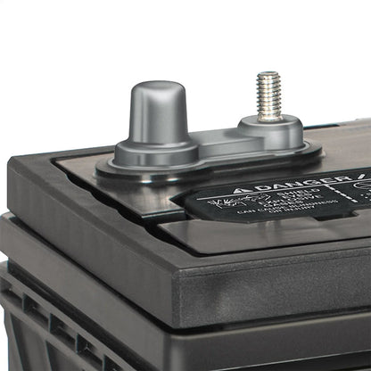 EverStart Maxx Marine Battery, Group Size 29DC 12 Volt, 845 CCA*