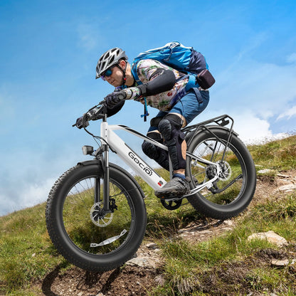 Gocio Electric Bike, 26"x4.0" Fat Tire E-Mountain Bike, Peak 1000W Motor, 28MPH 48V 15Ah Battery Removable Ebike for off Road, Sand, UL2849