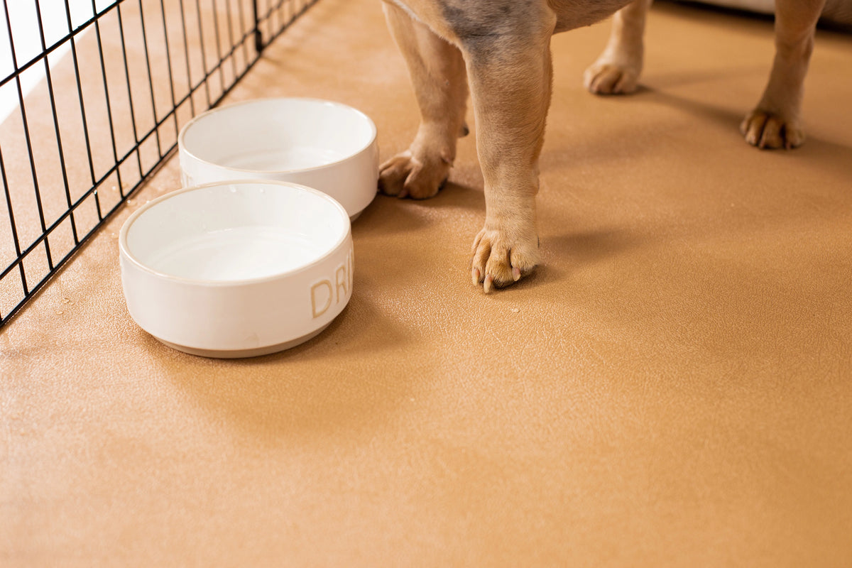 G-Floor 7.5' x 17' Vinyl Levant Pet Friendly Carpet Protector for Dogs & Cats - Midnight Black