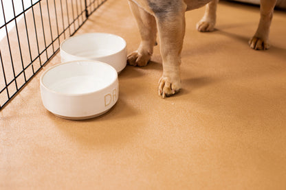 G-Floor 7.5' x 17' Vinyl Levant Pet Friendly Carpet Protector for Dogs & Cats - Midnight Black