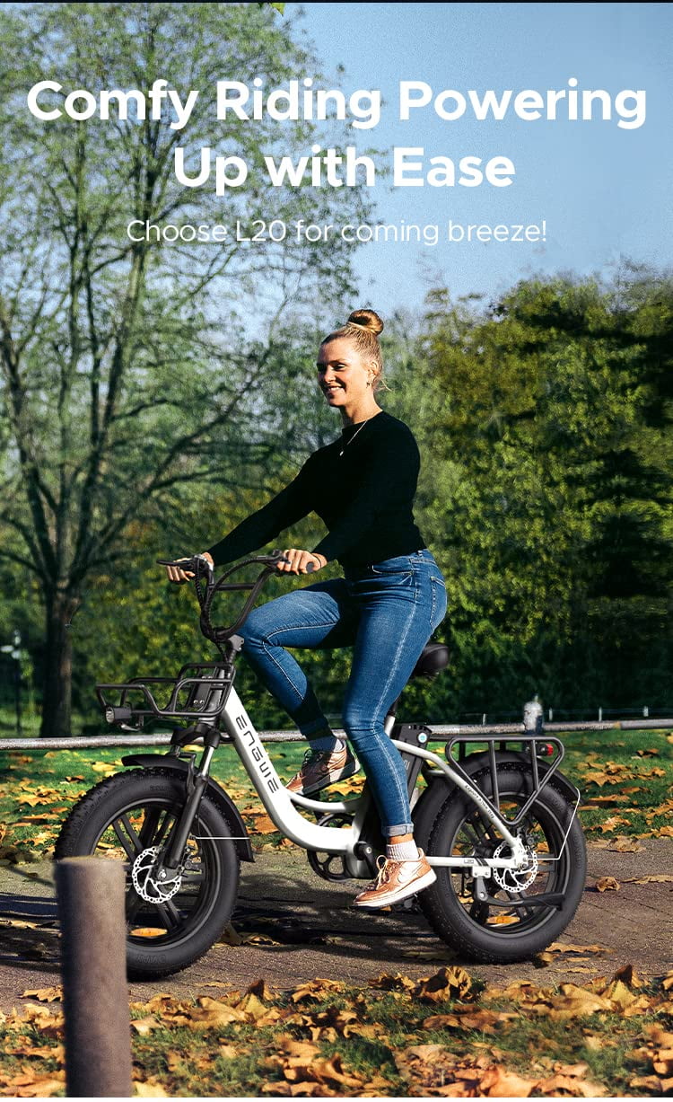 Engwe L20 Electric Bike for Adults,750W Motor 19.9MPH Fat Tire Mountain Bike with 48V 13AH Battery