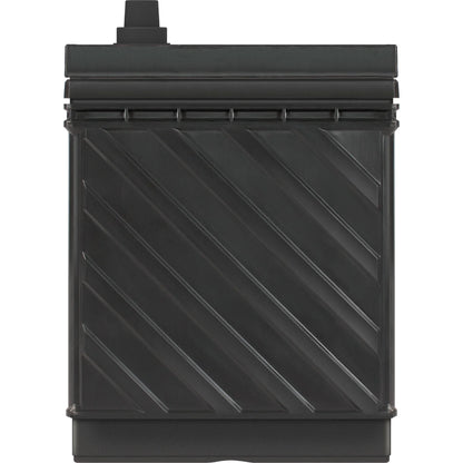 EverStart Maxx Marine Battery, Group Size 29DC 12 Volt, 845 CCA*