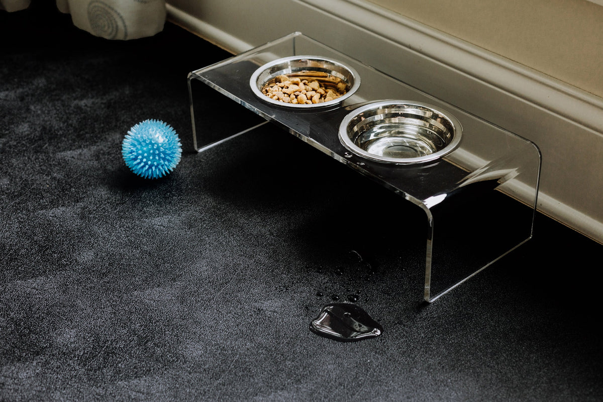 G-Floor 7.5' x 17' Vinyl Levant Pet Friendly Carpet Protector for Dogs & Cats - Midnight Black