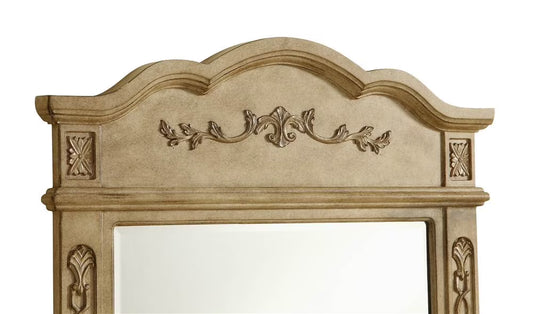 32 in. Traditional Mirror in Antique Beige