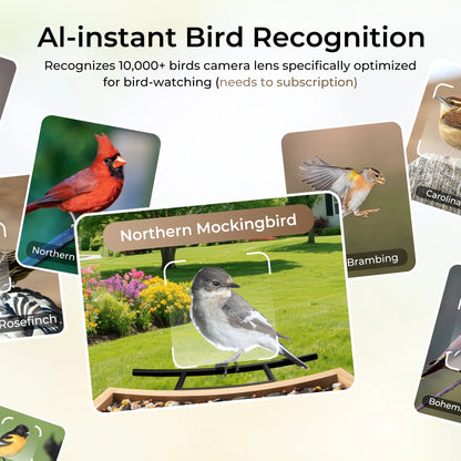 TT Nature Bird Feeder with Camera, AI Identify 10,000+ Species, Auto Capture, Real-Time Notifications, Upgraded for Bird Watching with Solar Panel, Perfect Gift for Bird Lovers