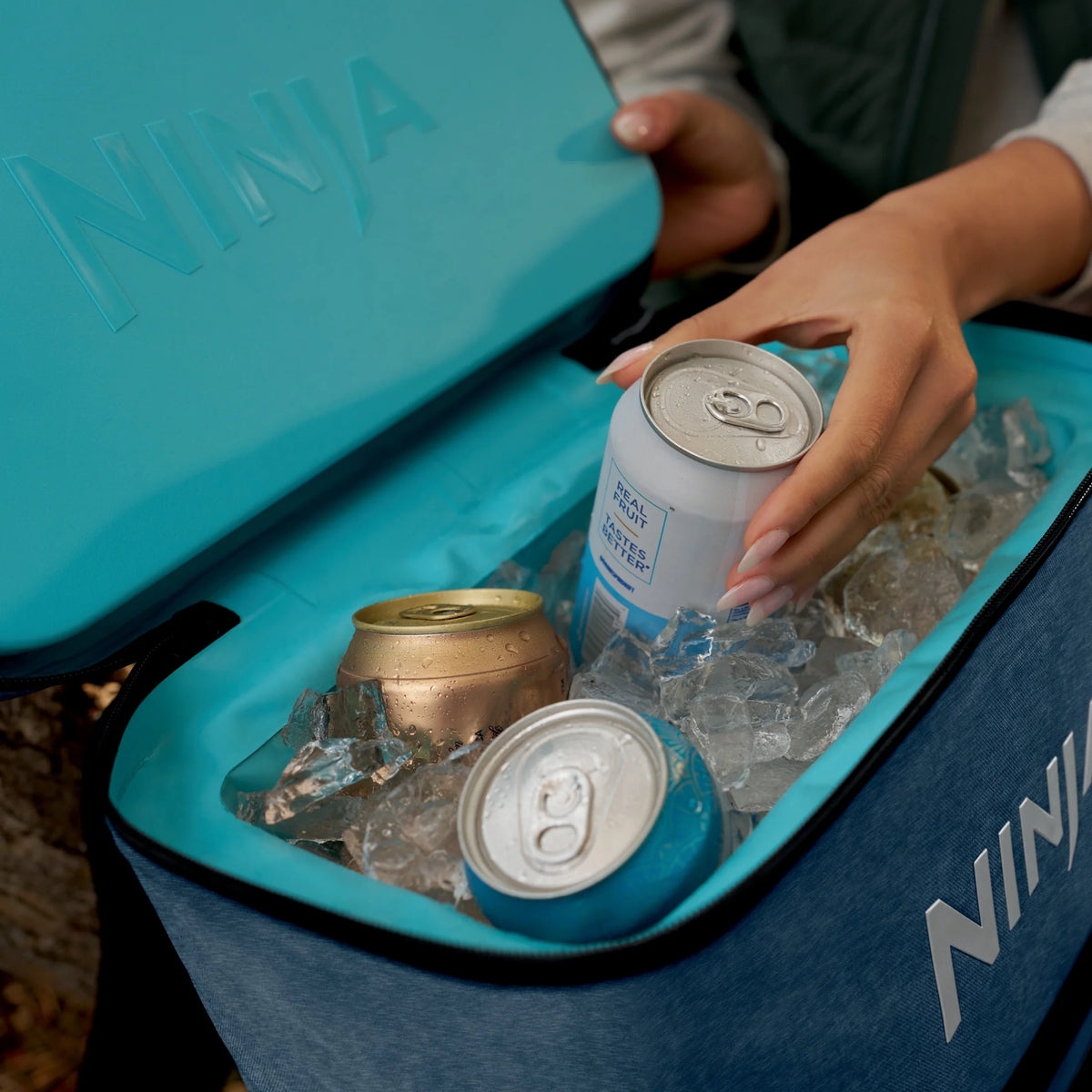 Ninja Outdoor FrostVault Go 24-Can Soft Cooler with Cold Dry Zone, Lakeshore Blue - FF124NV